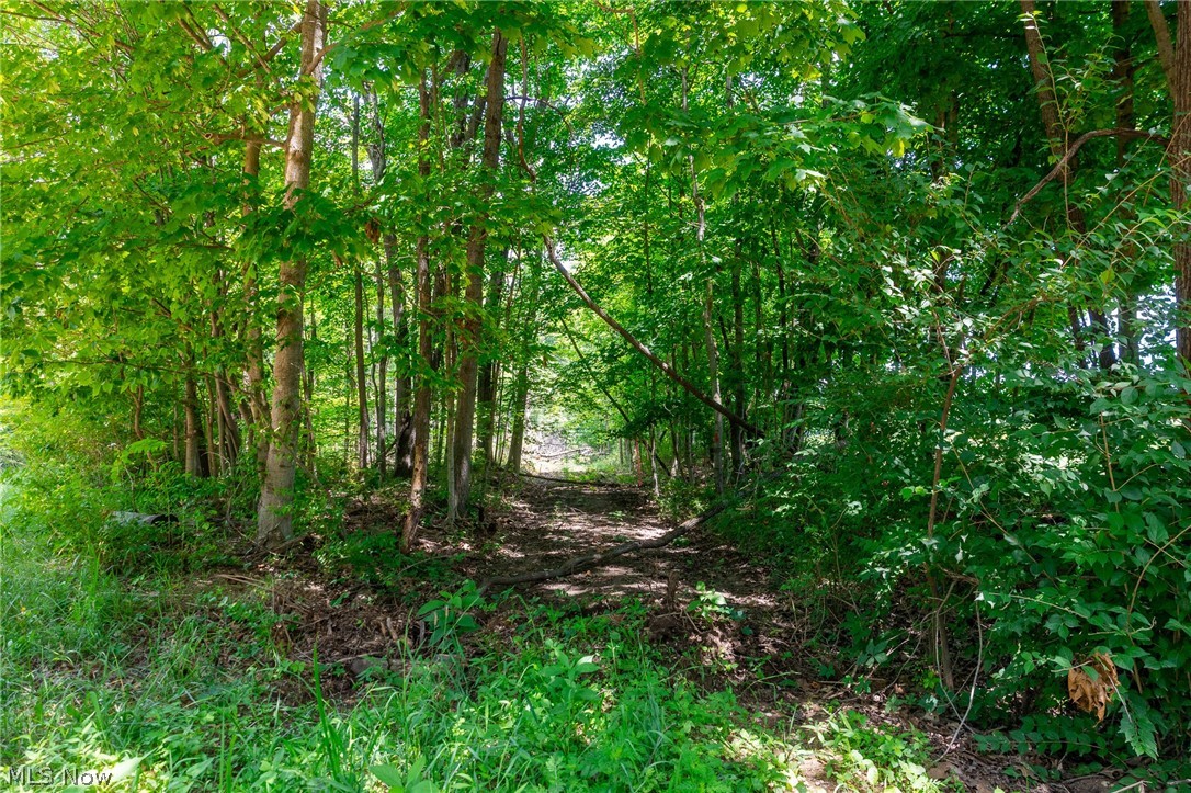 31800 Chestnut Ridge Road Danville OH 43050