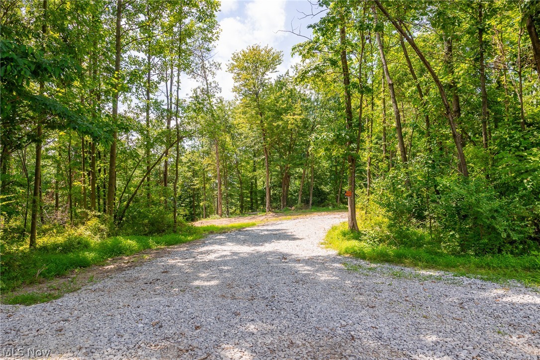 31800 Chestnut Ridge Road Danville OH 43050