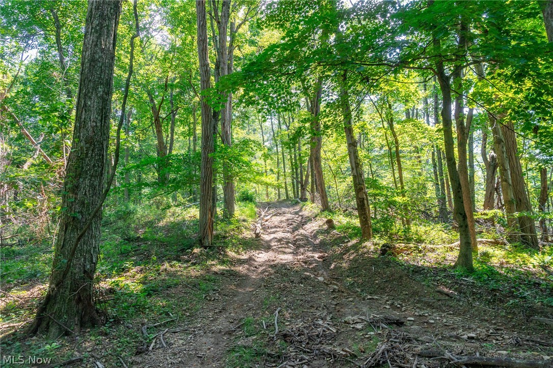 31800 Chestnut Ridge Road Danville OH 43050
