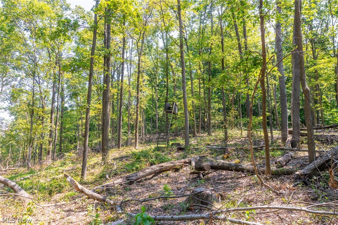 31800 Chestnut Ridge Road Danville OH 43050