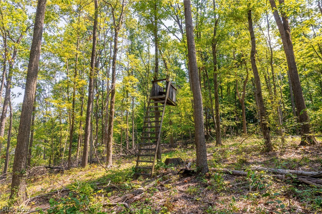 31800 Chestnut Ridge Road Danville OH 43050