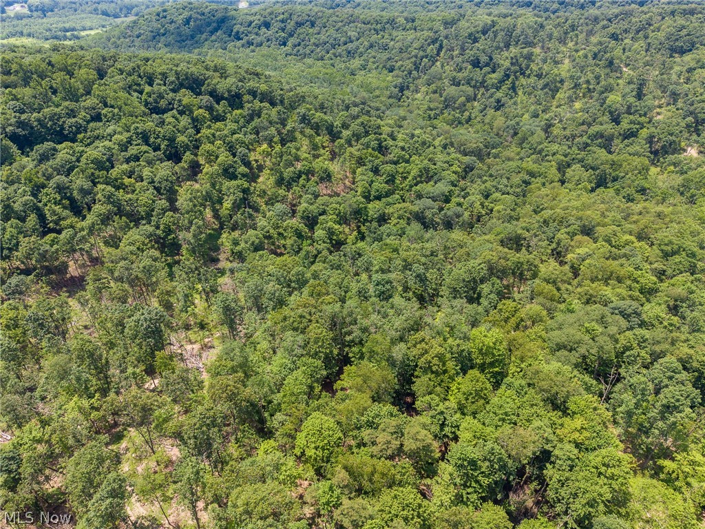 31800 Chestnut Ridge Road Danville OH 43050