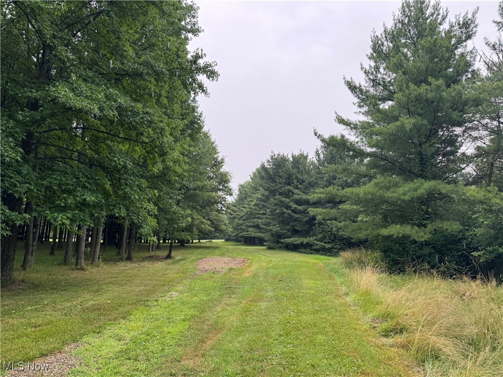 Winding Woods Trail Medina OH 44256