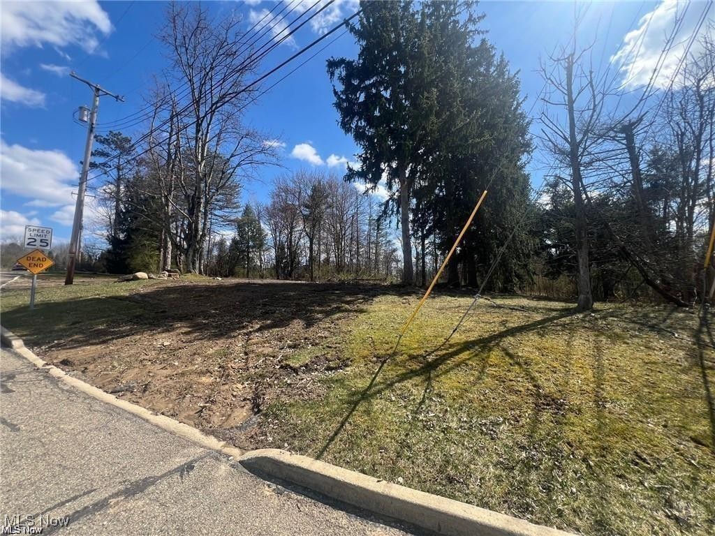 V/l Meadow Lane Northfield OH 44067