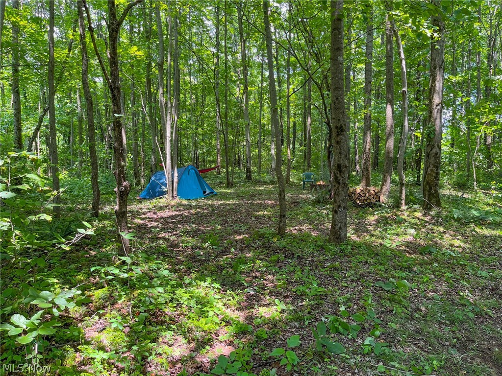 34668 Township Road 2063 Woodsfield OH 43793