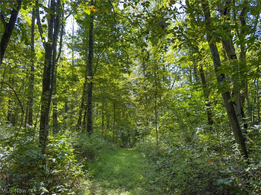 34668 Township Road 2063 Woodsfield OH 43793