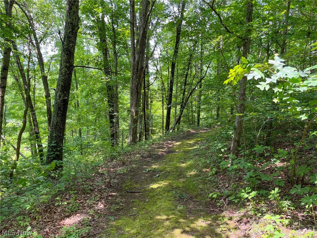 34668 Township Road 2063 Woodsfield OH 43793
