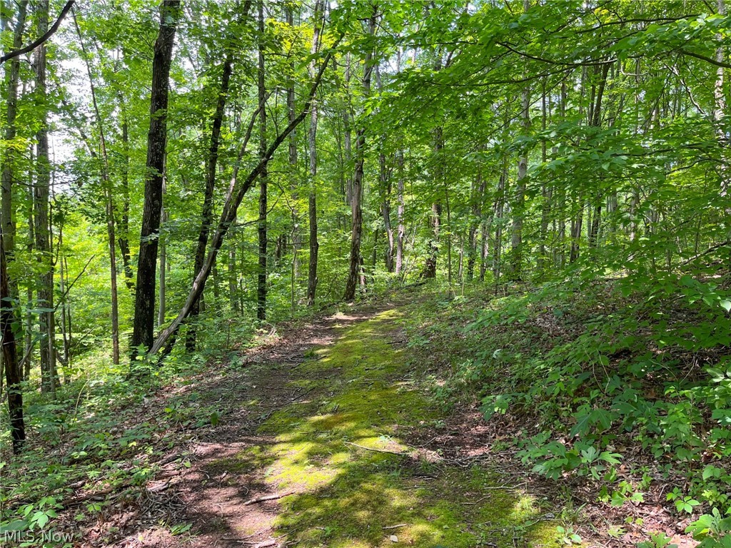 34668 Township Road 2063 Woodsfield OH 43793