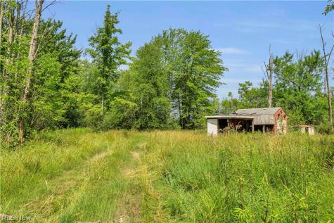 Indian Hollow Road Wellington OH 44090