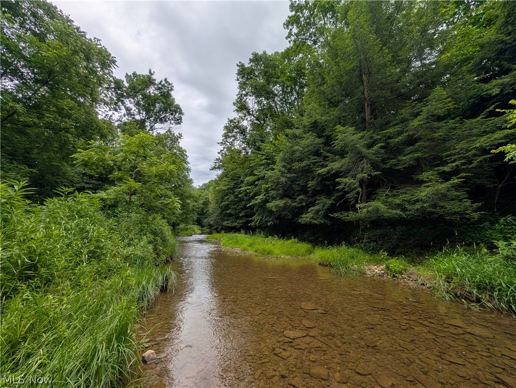 County Road 36 Bloomingdale OH 43910