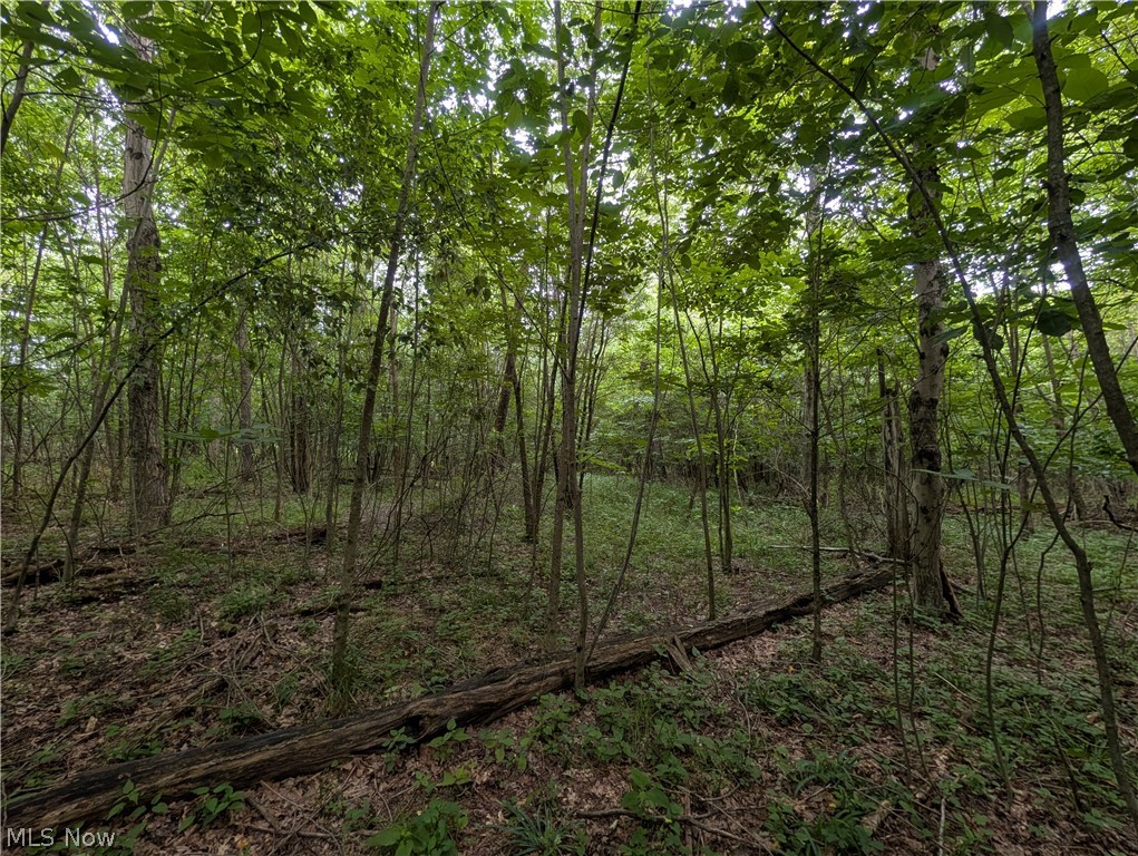 County Road 36 Bloomingdale OH 43910