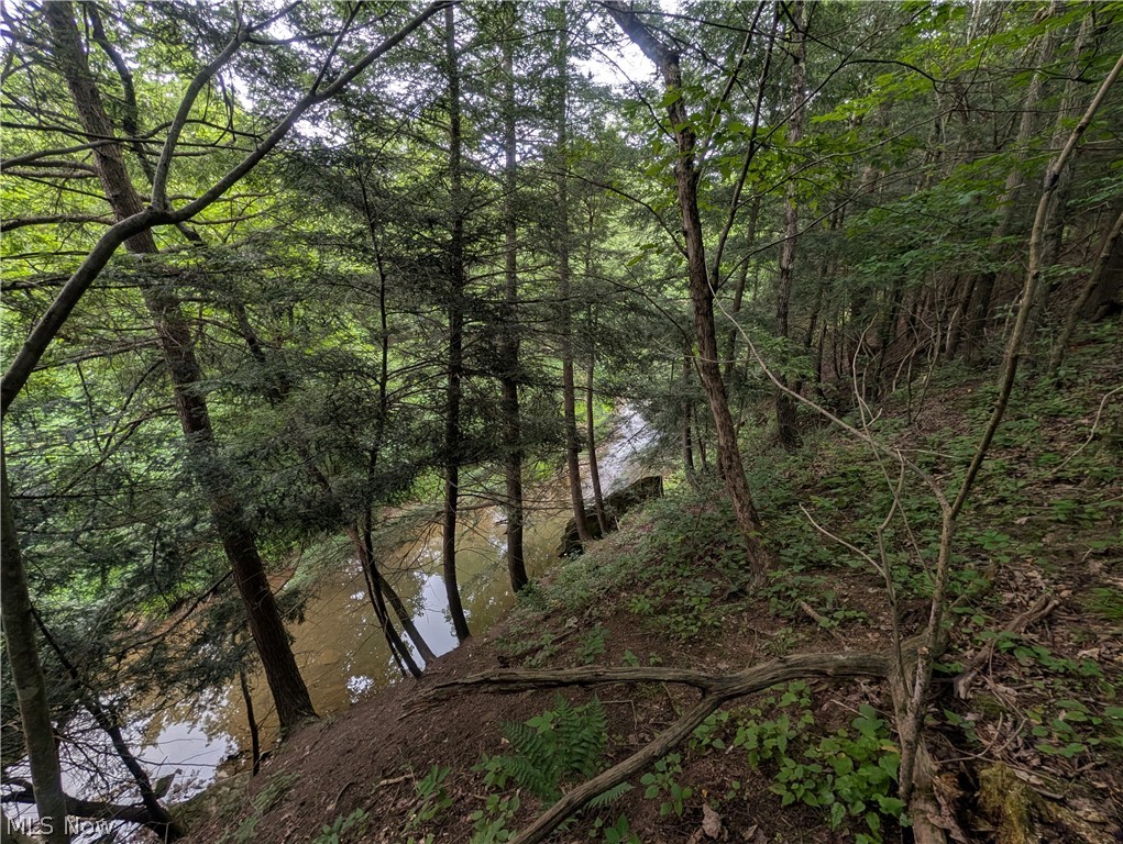 County Road 36 Bloomingdale OH 43910