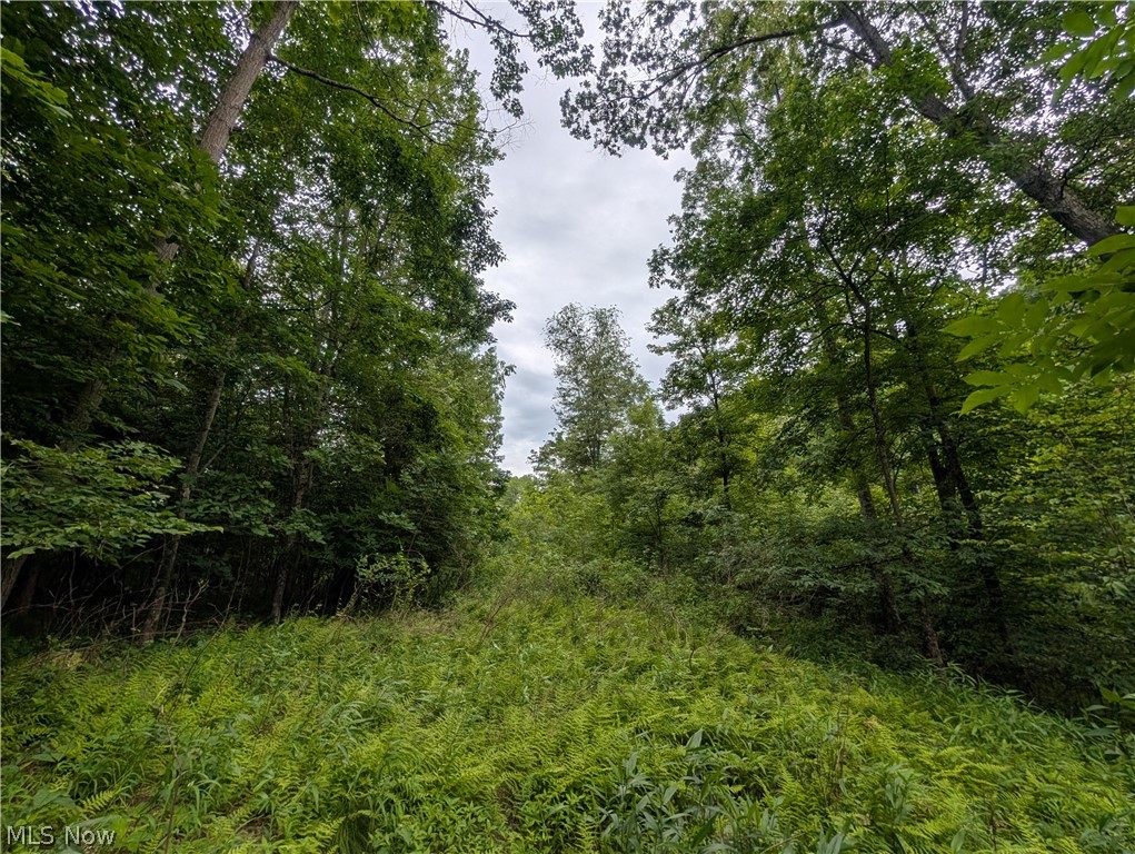 County Road 36 Bloomingdale OH 43910