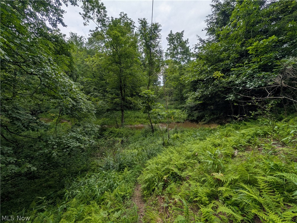 County Road 36 Bloomingdale OH 43910