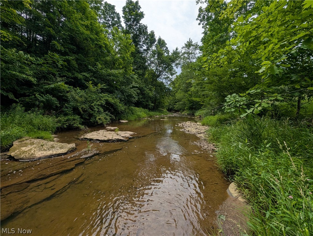 County Road 36 Bloomingdale OH 43910