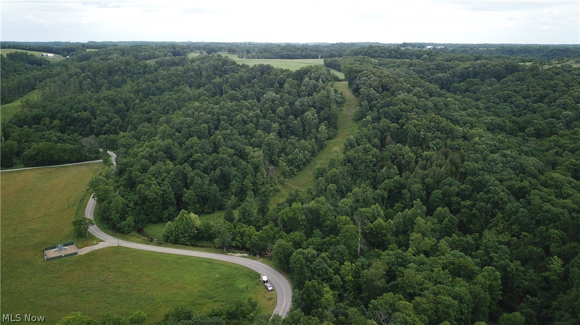 County Road 36 Bloomingdale OH 43910