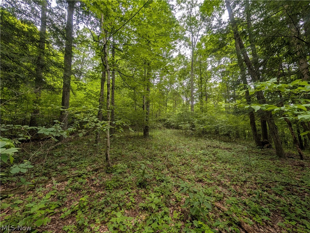 County Road 36 Bloomingdale OH 43910