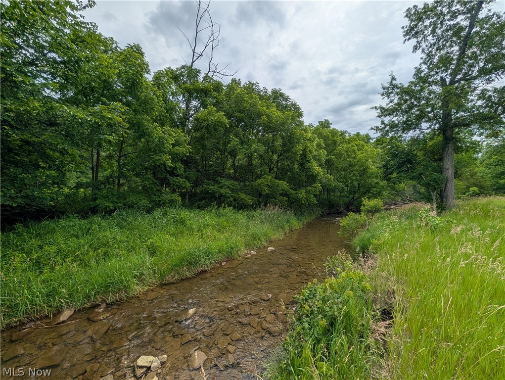 County Road 36 Bloomingdale OH 43910