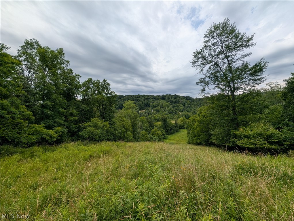 County Road 36 Bloomingdale OH 43910