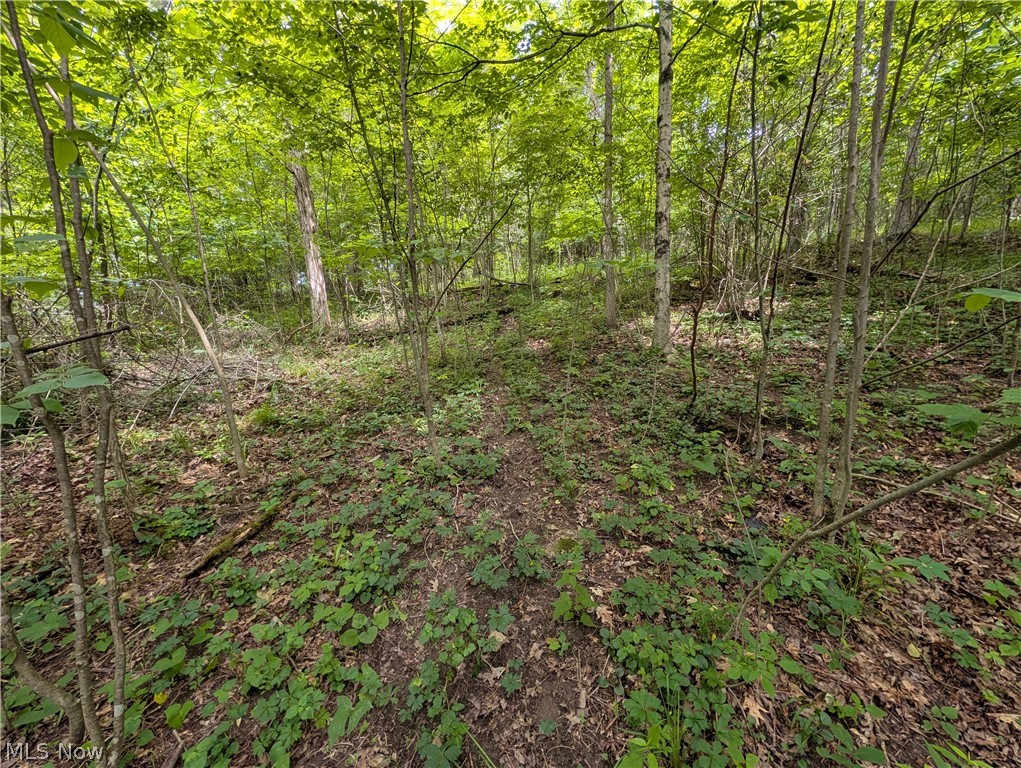 County Road 36 Bloomingdale OH 43910