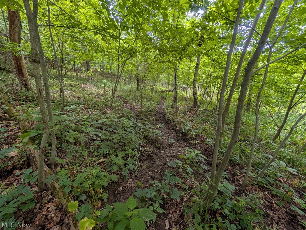 County Road 36 Bloomingdale OH 43910