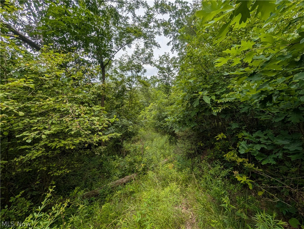 County Road 36 Bloomingdale OH 43910