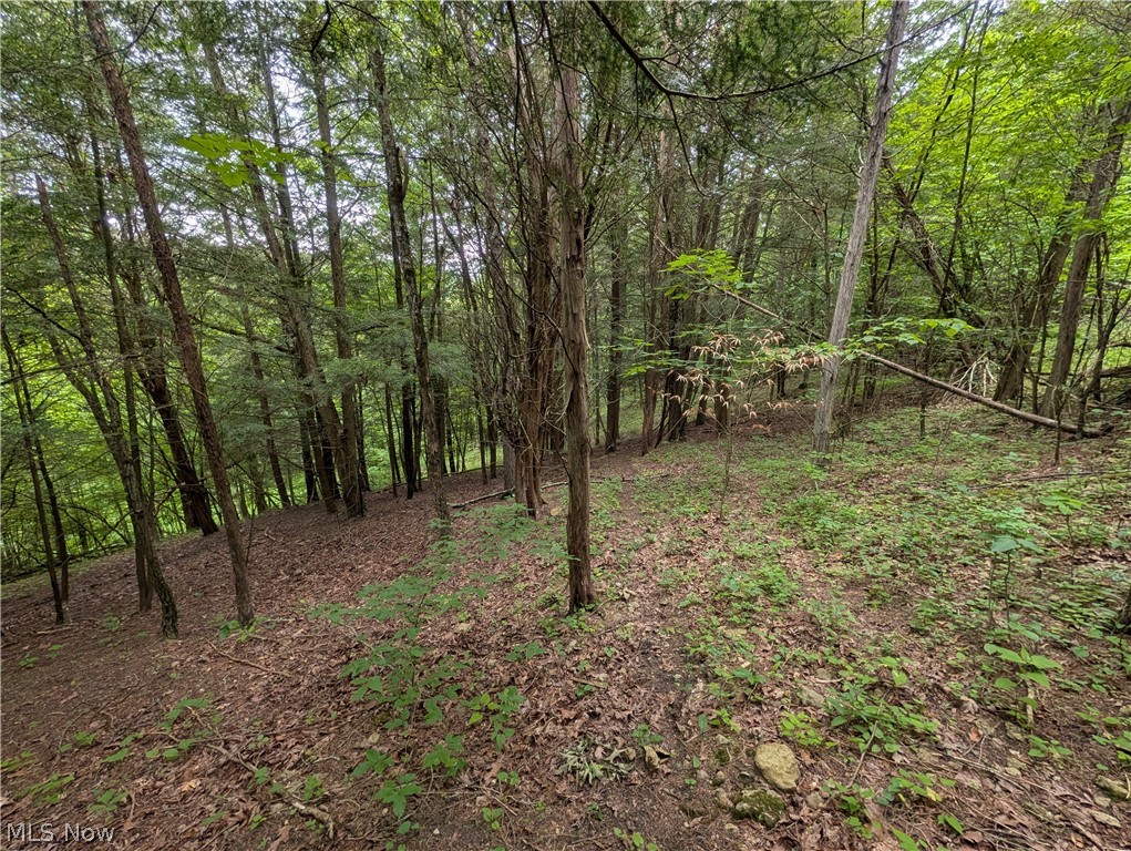 County Road 36 Bloomingdale OH 43910