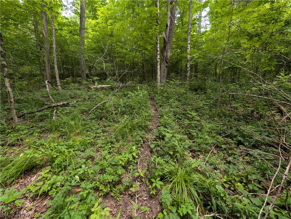 County Road 36 Bloomingdale OH 43910