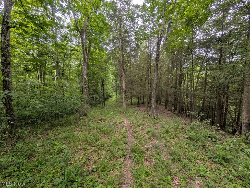 County Road 36 Bloomingdale OH 43910