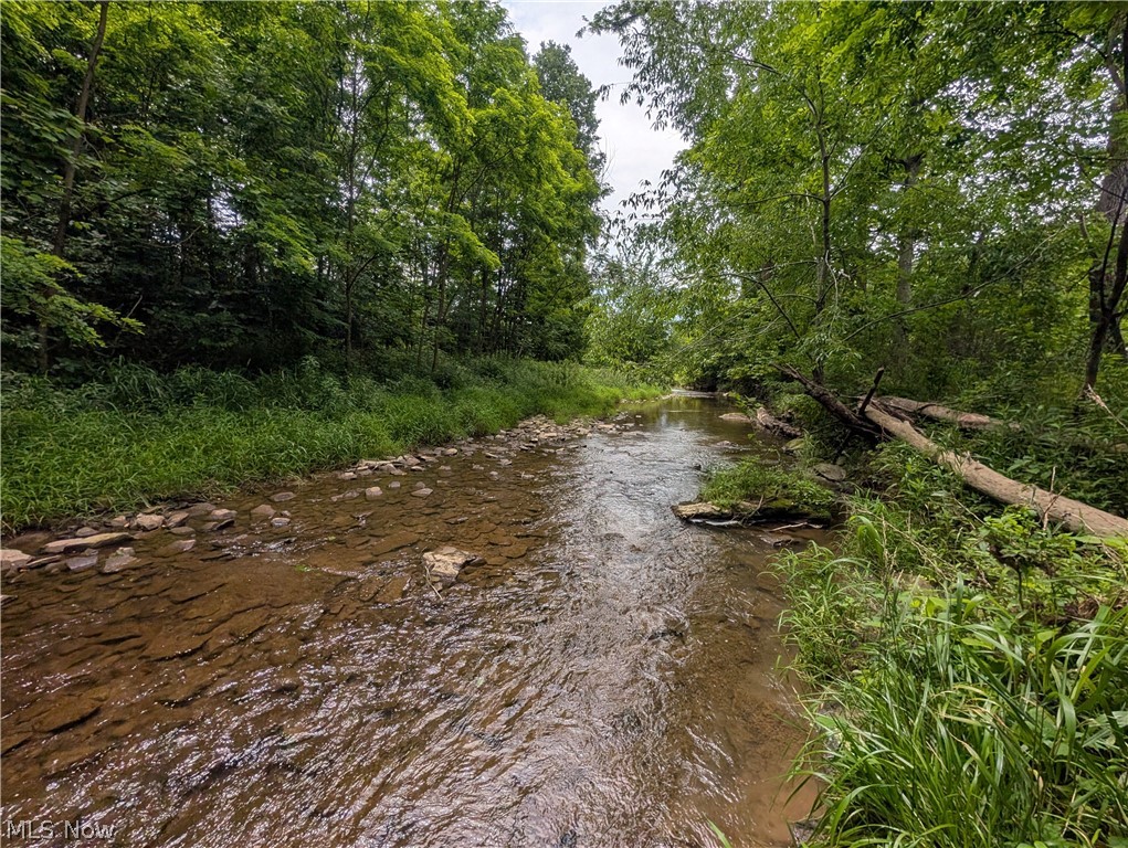 County Road 36 Bloomingdale OH 43910