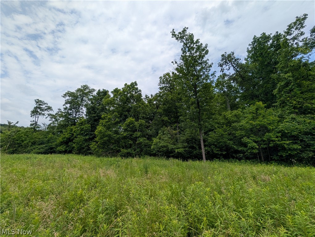 County Road 36 Bloomingdale OH 43910
