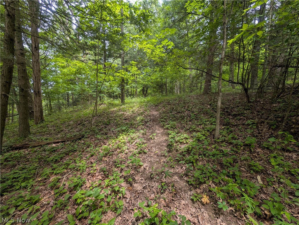 County Road 36 Bloomingdale OH 43910