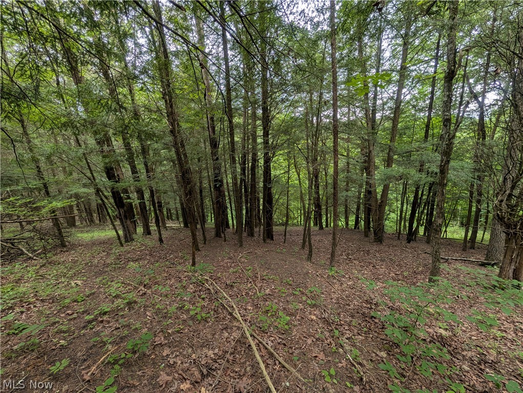 County Road 36 Bloomingdale OH 43910