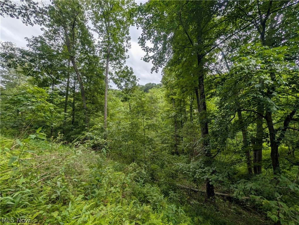 County Road 36 Bloomingdale OH 43910