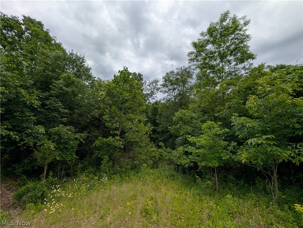 County Road 36 Bloomingdale OH 43910