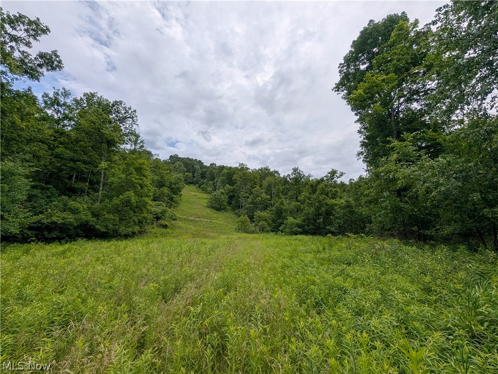 County Road 36 Bloomingdale OH 43910