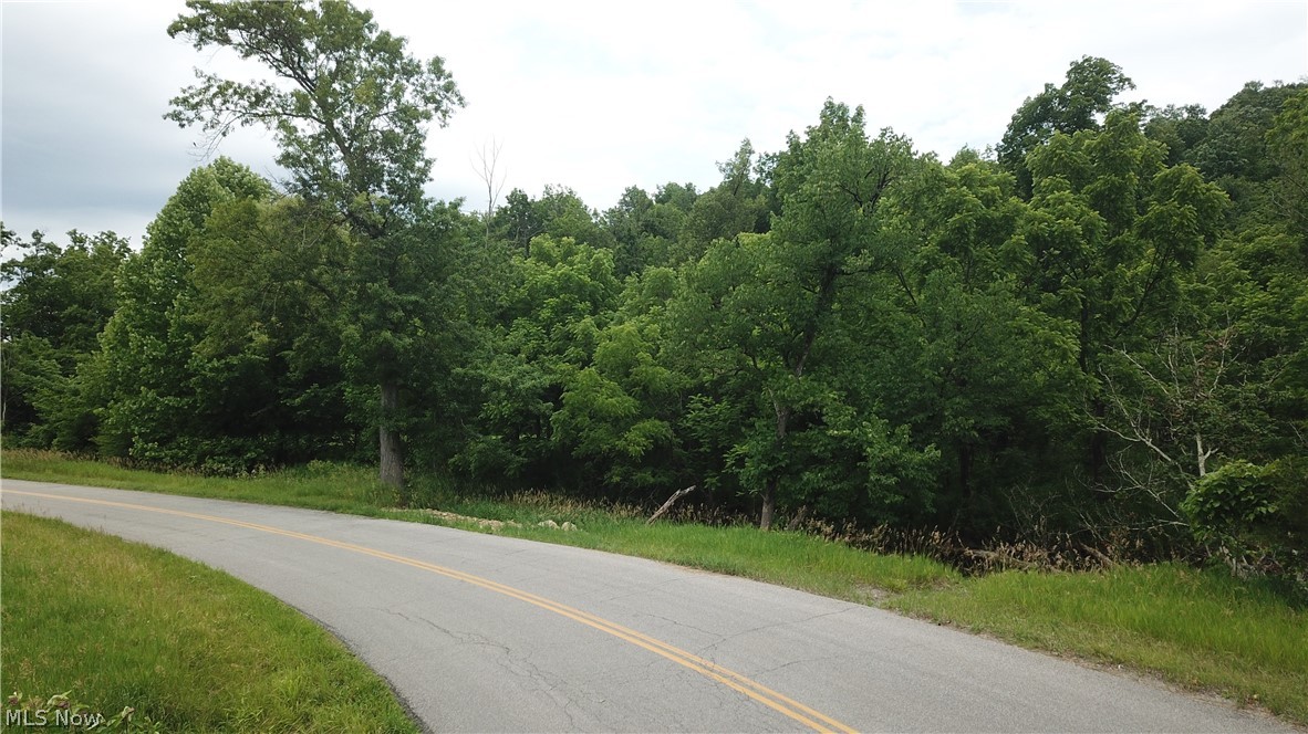 County Road 36 Bloomingdale OH 43910