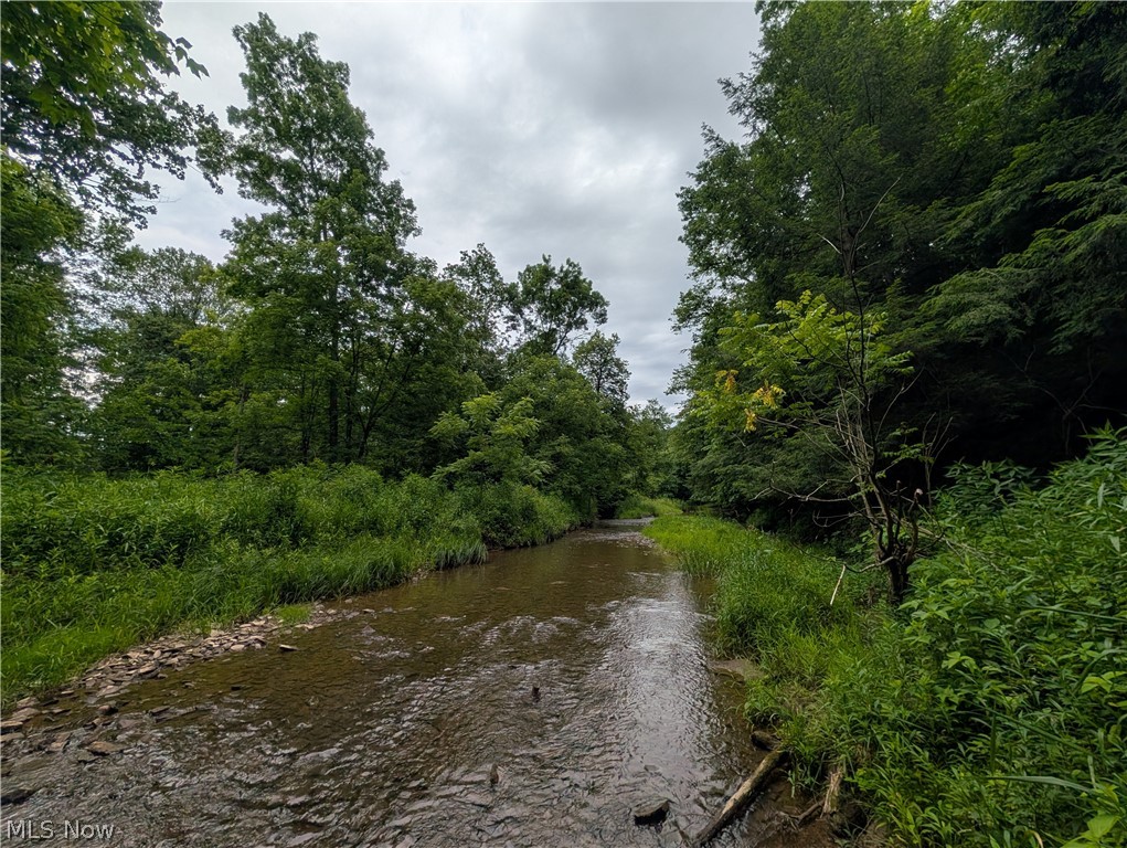 County Road 36 Bloomingdale OH 43910