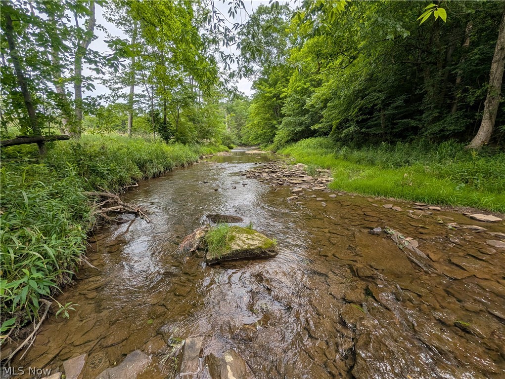 County Road 36 Bloomingdale OH 43910