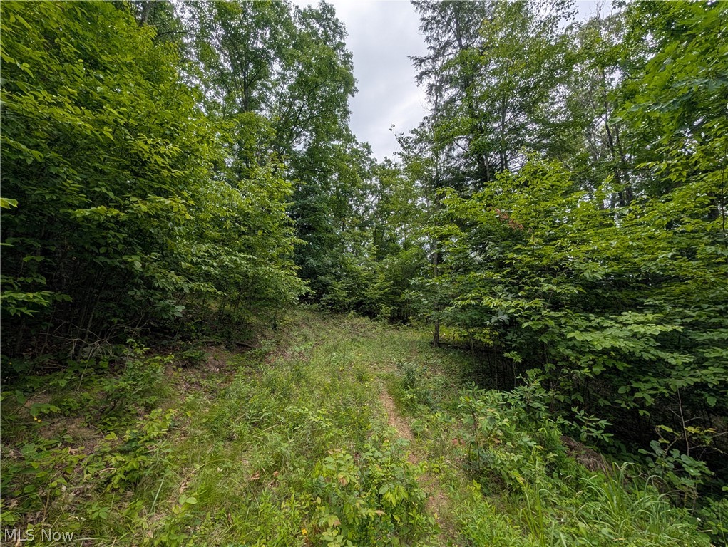County Road 36 Bloomingdale OH 43910