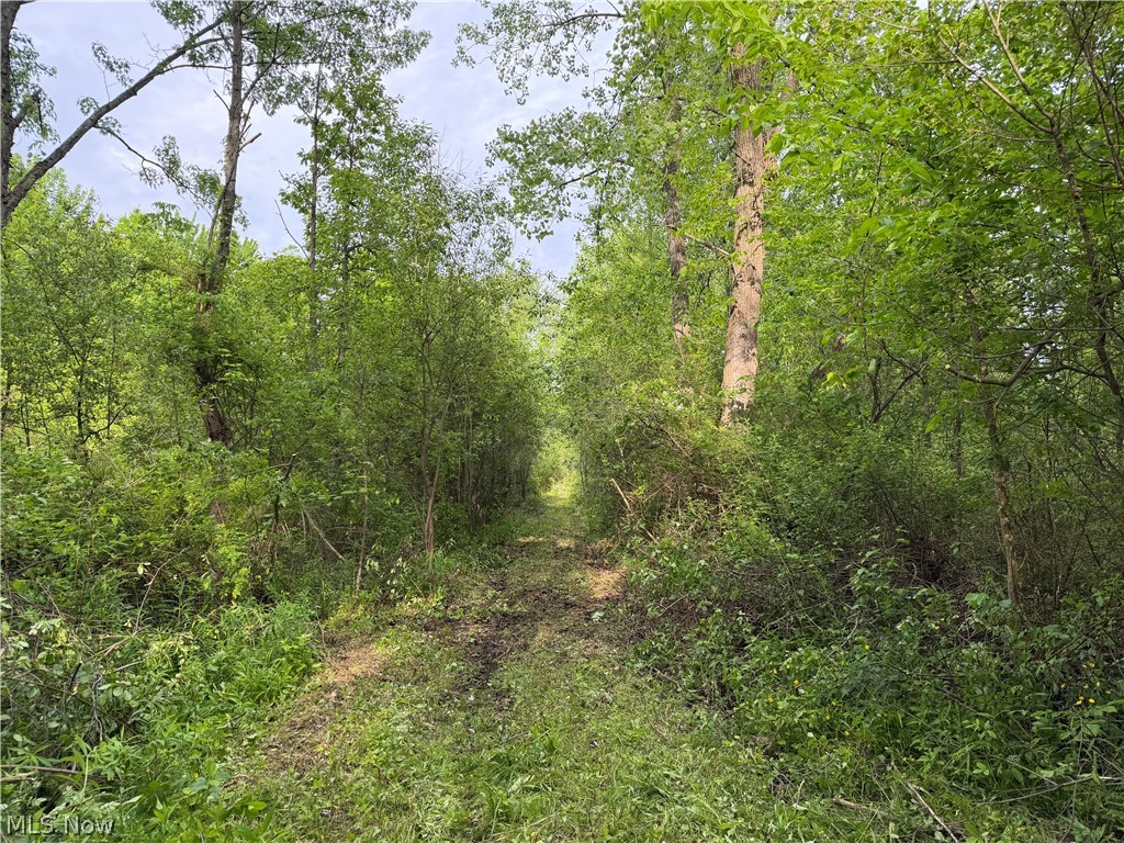 0 Dayton Road Madison OH 44057
