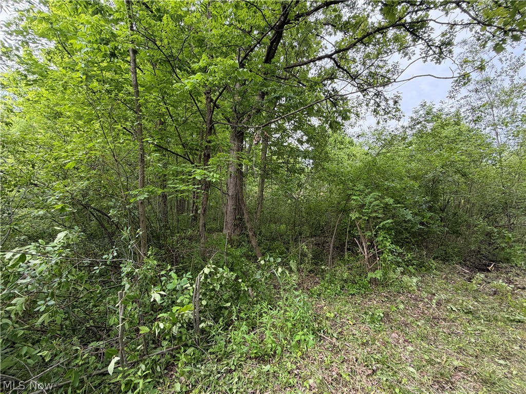 0 Dayton Road Madison OH 44057