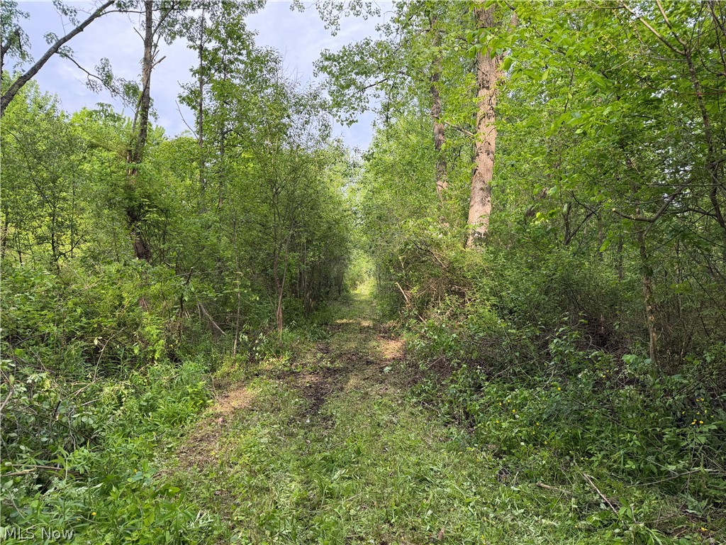 0 Dayton Road Madison OH 44057