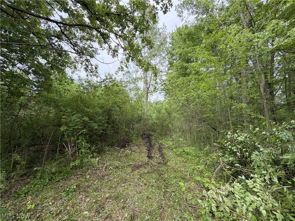 0 Dayton Road Madison OH 44057
