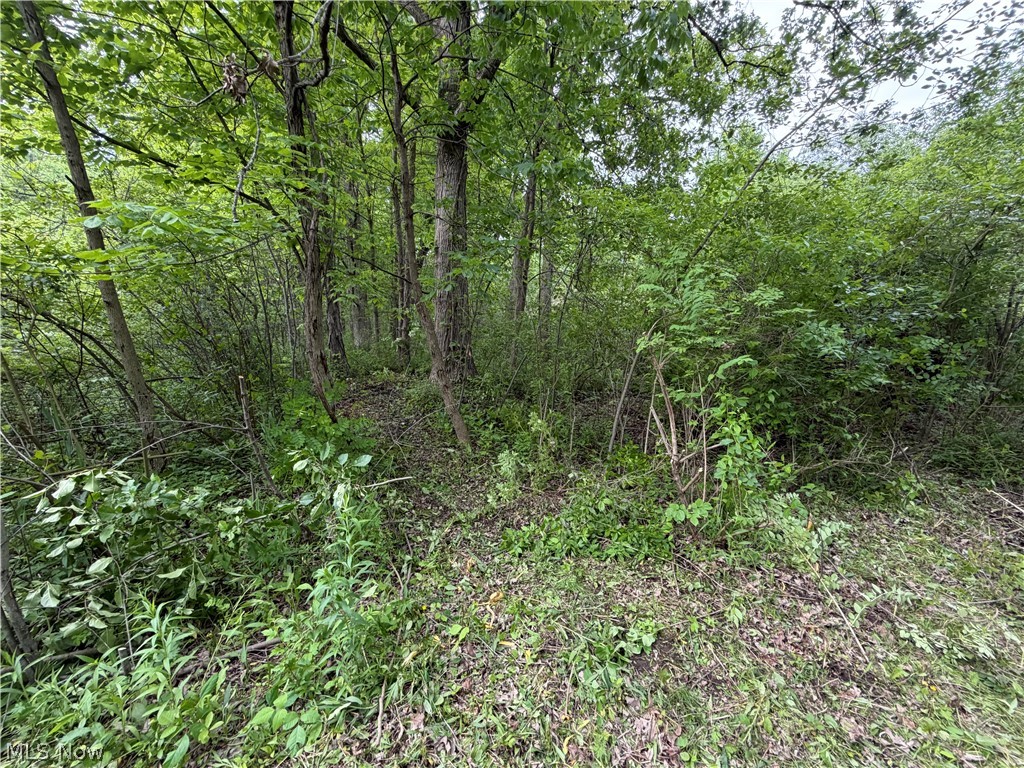 0 Dayton Road Madison OH 44057
