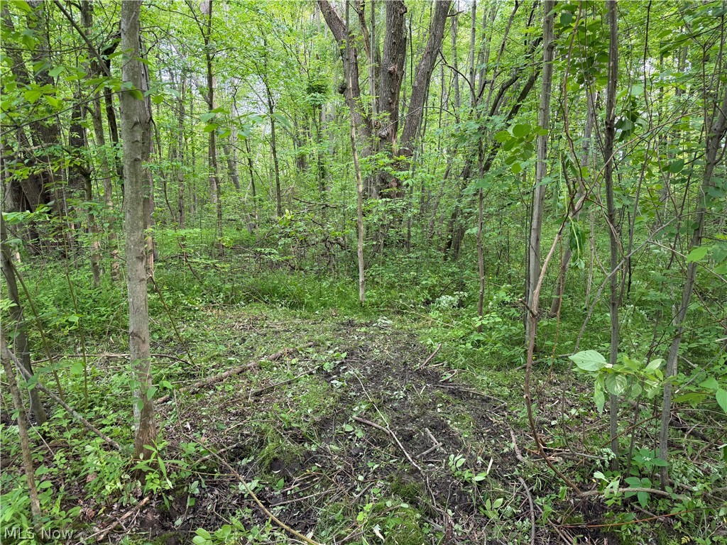 0 Dayton Road Madison OH 44057