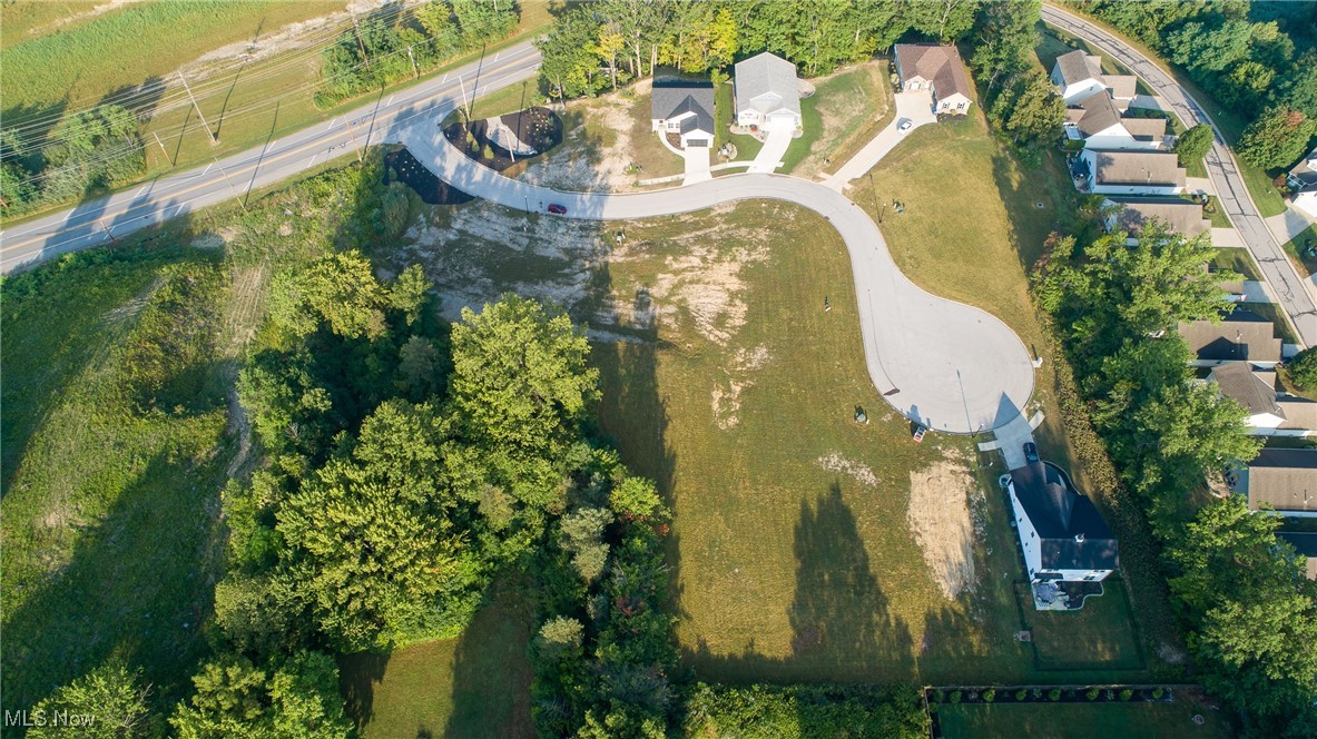 19 Blue Heron Court Painesville OH 44077
