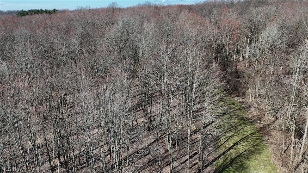 Bell Road Chagrin Falls OH 44022