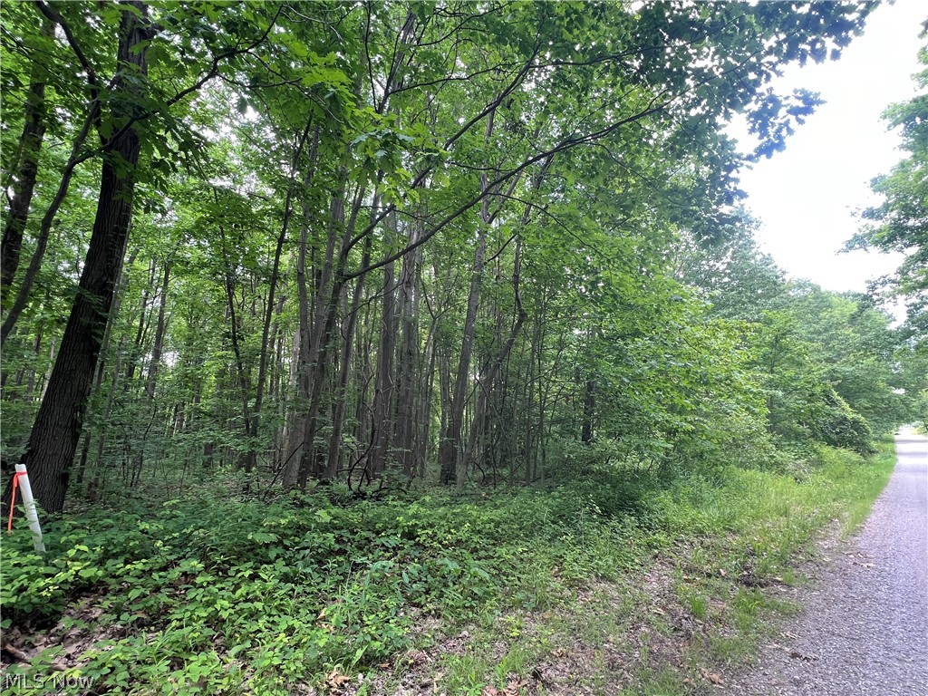 Weaver Road Conneaut OH 44030