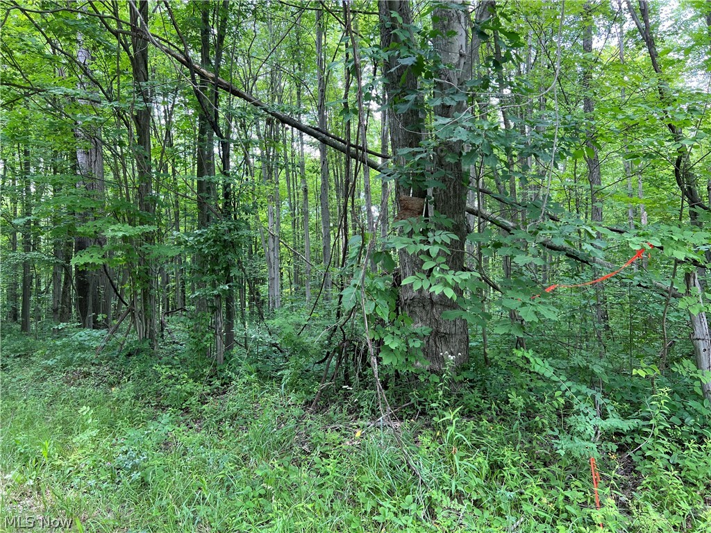 Weaver Road Conneaut OH 44030